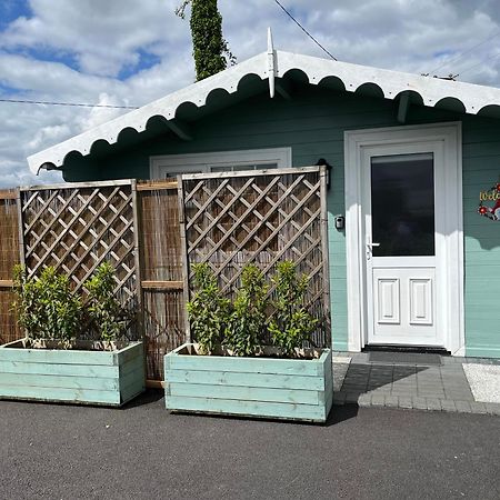 Adorable Cabin In The Countryside Port Laoise Exteriér fotografie